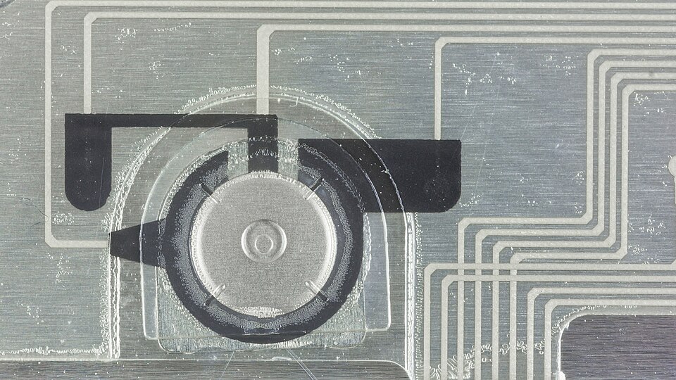 Push Button